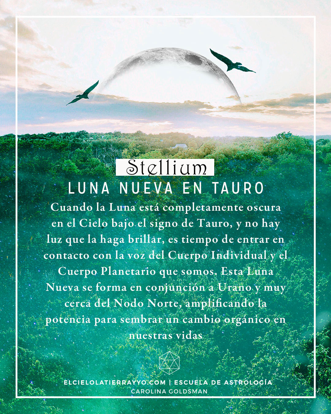 Luna Nueva en Tauro - Mayo 2023 - Astrologia