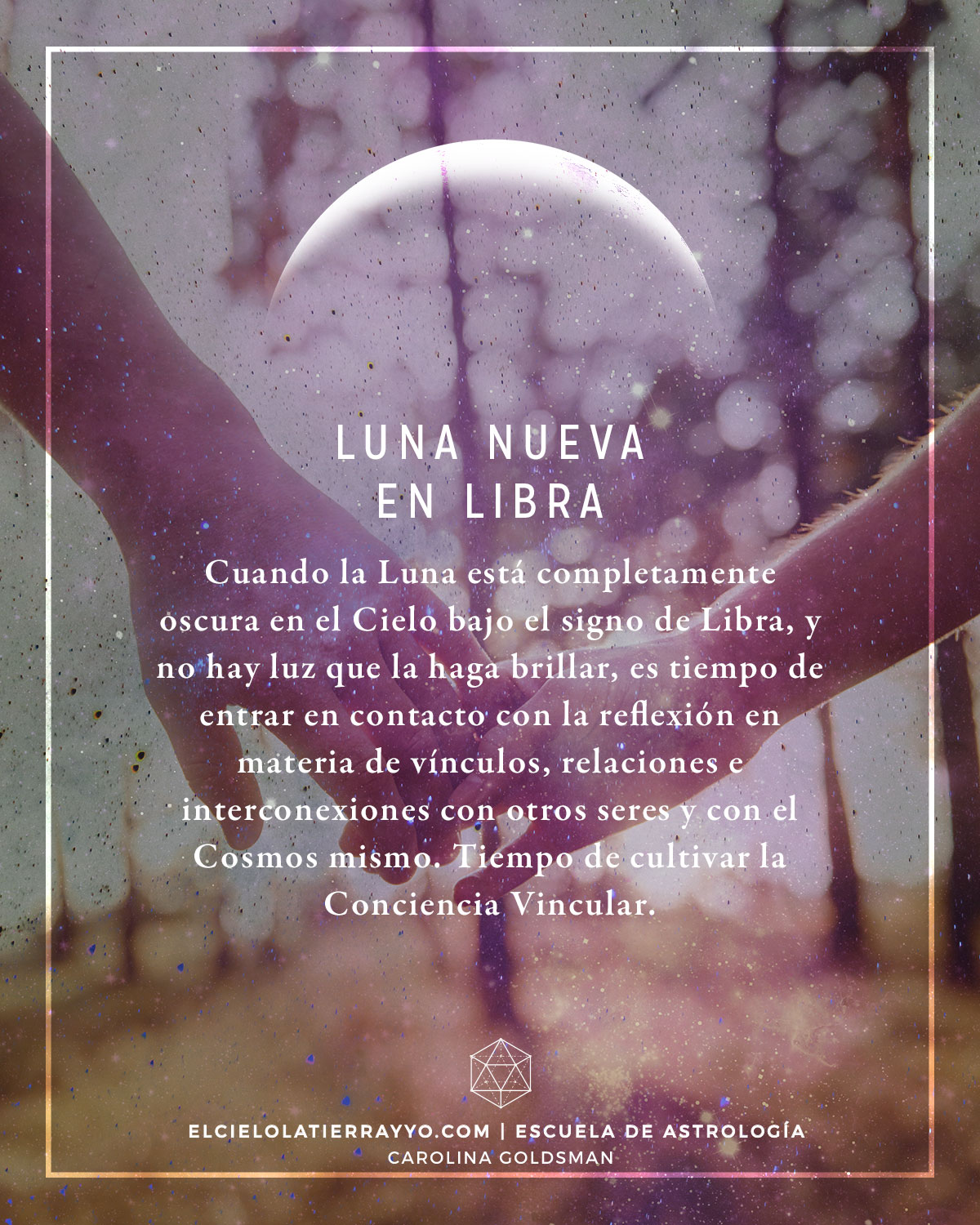 Librería Lemus - ¡Ya tenemos aquí el Lunario de 2024! Una guía para que tus  plantas y tú reconectéis con los ritmos de la naturaleza. Olvídate de las  prisas, vuelve a levantar