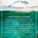 Qué significa la Luna Nueva en Tauro y por qué es un momento de siembra