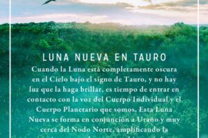 Qué significa la Luna Nueva en Tauro y por qué es un momento de siembra