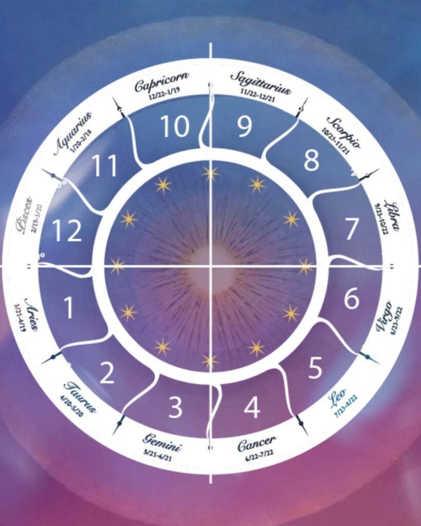 Carta natal con las 12 casas activadas por el Eclipse Solar en Acuario 17 de febrero 2026.